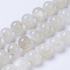 Natural Moonstone Beads Strands G-F568-228-10mm-1