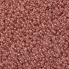 MIYUKI Round Rocailles Beads X-SEED-G007-RR3507-3