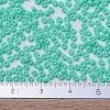 MIYUKI Round Rocailles Beads X-SEED-G007-RR4472-4