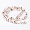 Round Shell Pearl Bead Strands BSHE-E007-8mm-01-2