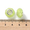 Pearlized Resin European Beads RESI-M001-01F-3