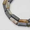 Natural Indian Agate Beads Strands G-G968-D05-3