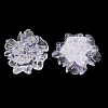 Transparent Resin Cabochons RESI-E049-02B-2