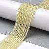 Electroplate Transparent Glass Beads Strands GLAA-H021-01A-FR04-3