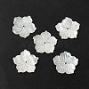 Natural White Shell Beads SHEL-M021-08C-2