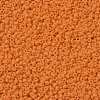 MIYUKI Round Rocailles Beads SEED-G007-RR0405F-3