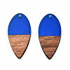 Transparent Resin & Walnut Wood Pendants RESI-N025-031-C03-1