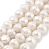 Natural Cultured Freshwater Pearl Beads Strands PEAR-C003-20A-1