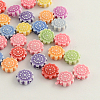 Craft Style Acrylic Beads MACR-Q157-M22-1