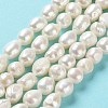 Natural Cultured Freshwater Pearl Beads Strands PEAR-Z002-02-2
