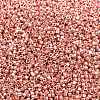 MIYUKI Delica Beads SEED-MY11-DB2503-2