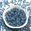 Glass Seed Beads SEED-A032-01L-2