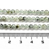 Natural Prehnite Beads Strands G-G140-A19-03-5