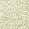 Baking Paint Glass Seed Beads X-SEED-S042-05B-63-3