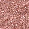 MIYUKI Round Rocailles Beads SEED-JP0008-RR0369-3