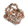 Natural Striped Agate/Banded Agate Chips Beads Strands F022-5