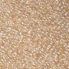Glass Seed Beads SEED-A006-2mm-102-2
