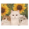 Cat DIY Diamond Painting Kits PW-WG313F1-11-1