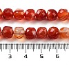 Natural Agate Dyed Beads Strands G-H028-A08-02-5