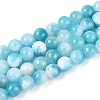 Natural Dyed Persian Jade Gemstone Bead Strands X-G-R271-8mm-XP15-1