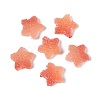 Imitation Candy Food Style Resin Cabochons RESI-R461-02B-1