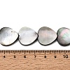 Natural Black Lip Shell Beads Strands BSHE-D300-06C-4