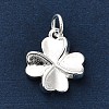 925 Sterling Silver Charms FIND-Z069-04S-C-2