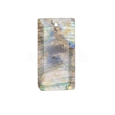 Natural Labradorite Pendants PW-WG07E98-05-1