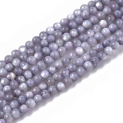 Natural Freshwater Shell Beads Strands BSHE-T009-01-1