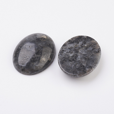 Natural Larvikite Flat Back Cabochons G-G741-30x40mm-04-1