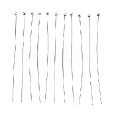 304 Stainless Steel Head Pins STAS-T065-60mm-20P-1