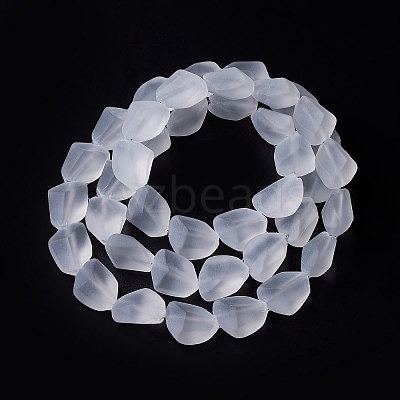 Transparent Frosted Glass Beads Strands FGLA-S001-02F-1