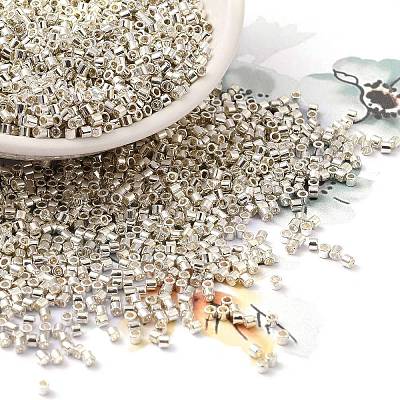 Electroplate Glass Seed Beads SEED-S042-01B-08-1