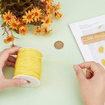 1 Roll 100 Yards Round Nylon Braided Thread NWIR-PH0002-22D-1