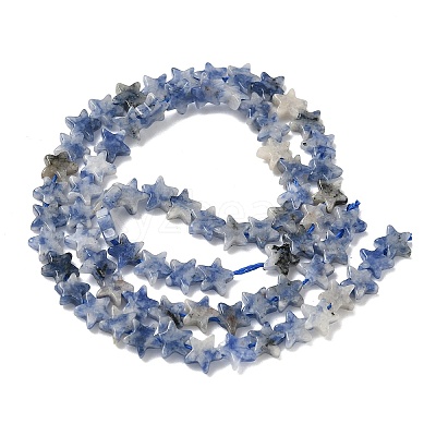 Natural Blue Spot Jasper Beads Strands G-F817-A12-01-1