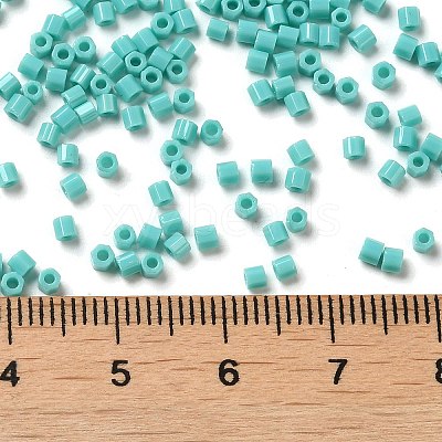Opaque Glass Seed Beads SEED-S042-22B-04-1