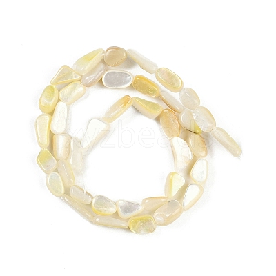 Natural Trochus Shell Beads Strands BSHE-H109-05-1