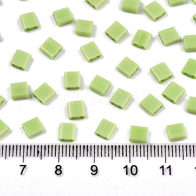 FGB 2-Hole Glass Seed Beads SEED-S031-L-ST44-1