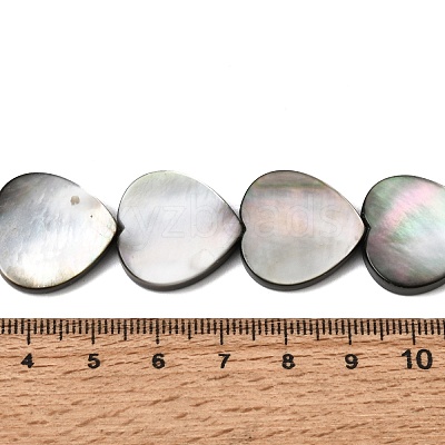 Natural Black Lip Shell Beads Strands BSHE-D300-06C-1