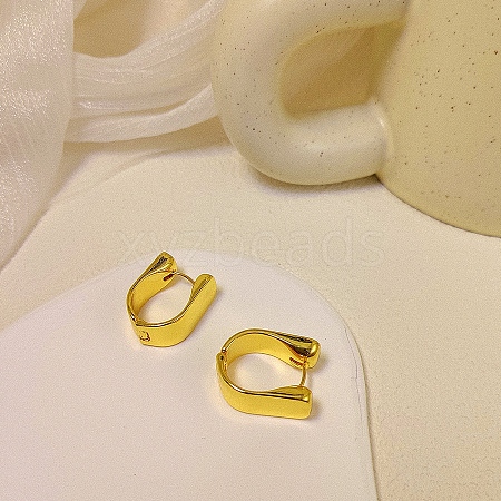 Alloy Hoop Earrings WG64463-42-1