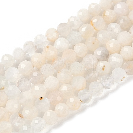 Natural White Moonstone Beads Strands G-G139-A14-03-1