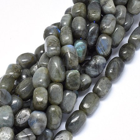 Natural Labradorite Beads Strands G-O173-059C-1