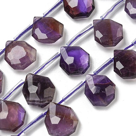 Natural Amethyst Beads Strands G-P544-C01-01-1