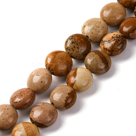 Natural Picture Jasper Beads Strands G-T047-A22-01-1