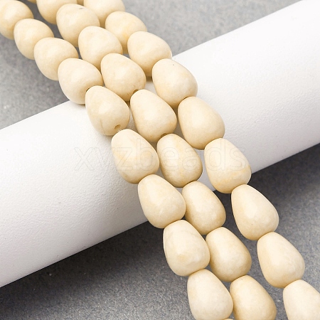 Natural Fossil Beads Strands G-F808-D01-01-1