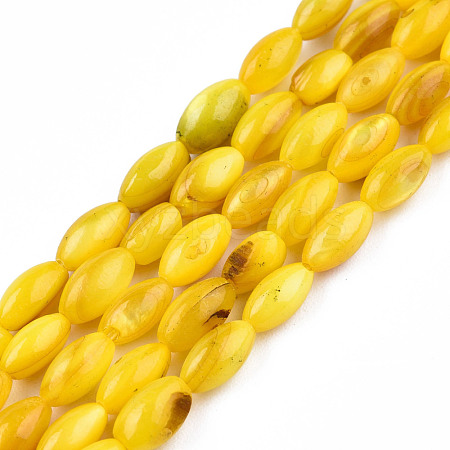 Natural Freshwater Shell Beads Strands SHEL-N026-212-B06-1