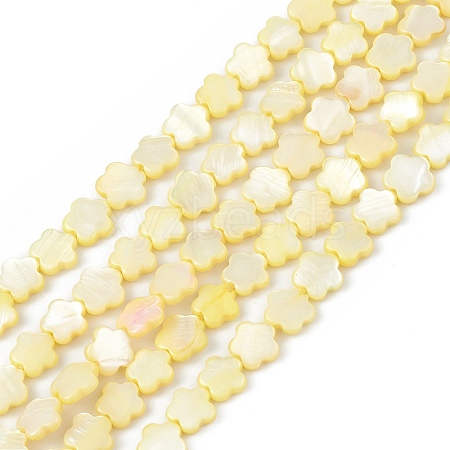 Natural Freshwater Shell Dyed Beads Strands SHEL-K001-001C-1