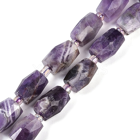 Natural Amethyst Beads Strands G-G182-D03-01-1