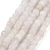 Natural Rainbow Moonstone Beads Strands G-G140-C01-01-1