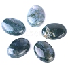 Natural Indian Agate Cabochons PW-WG8E62B-01-1